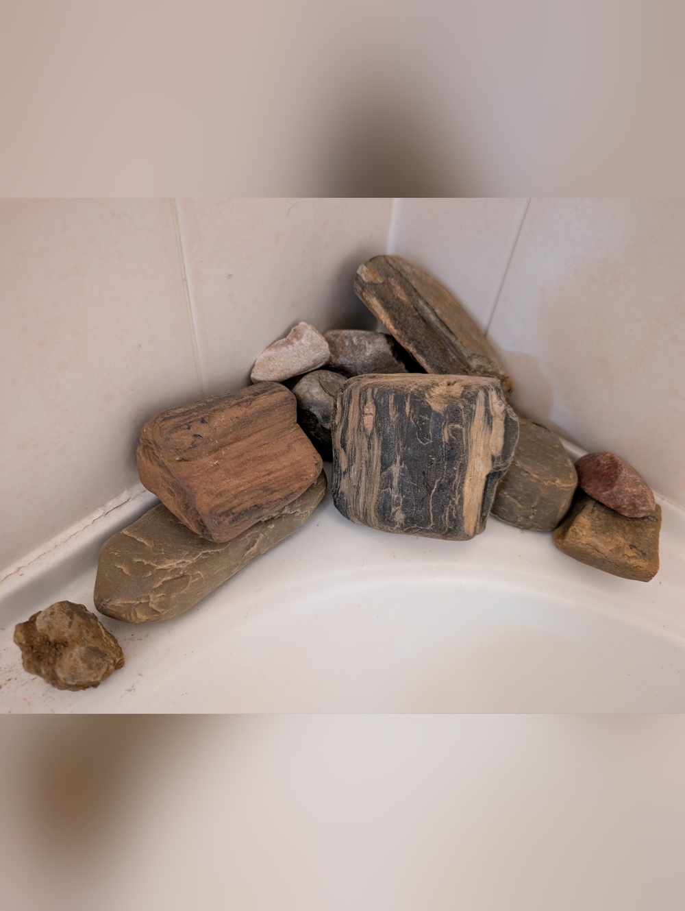 Natural Petrified Wood Bundles And Stones